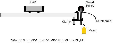 Dynamic Trolley